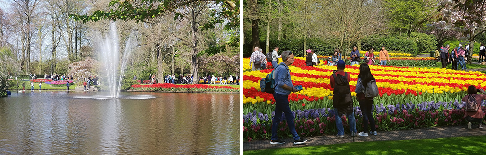 keukenhof brent and becky holland travelogue virginia