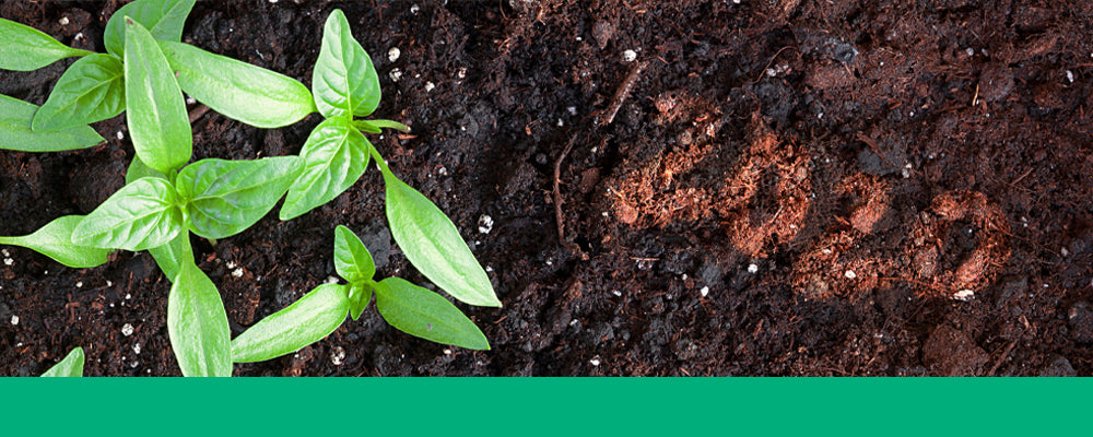 new-years-resolutions-for-gardeners-soil-2020header-image