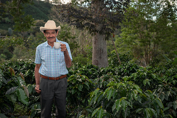 4 Reasons Why You Should Drink Craft Coffee farmer