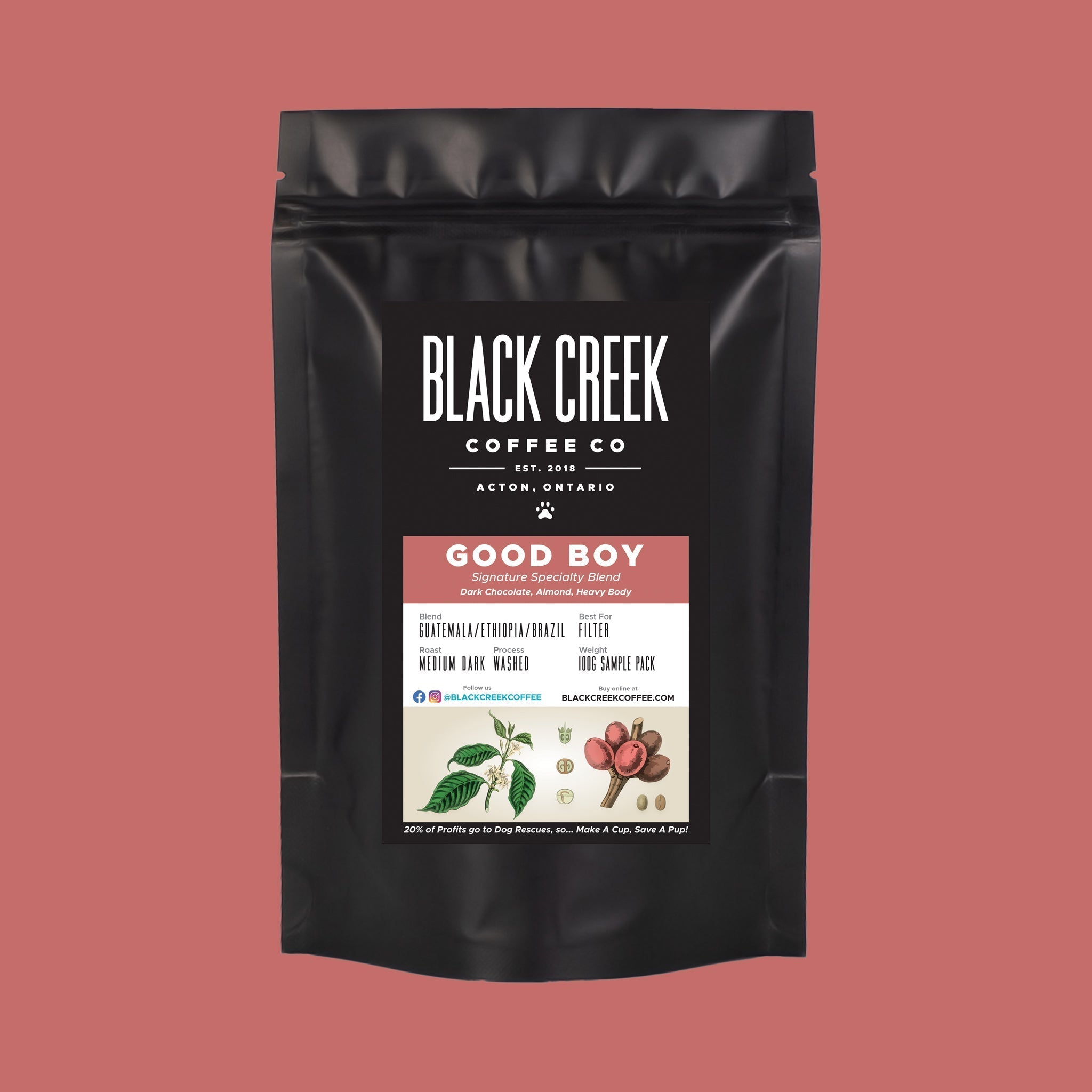 How To Make The Perfect AeroPress Coffee – Black Creek Coffee