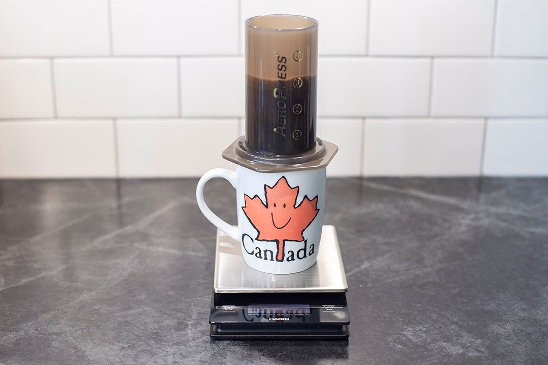 how to make the perfect aeropress coffee