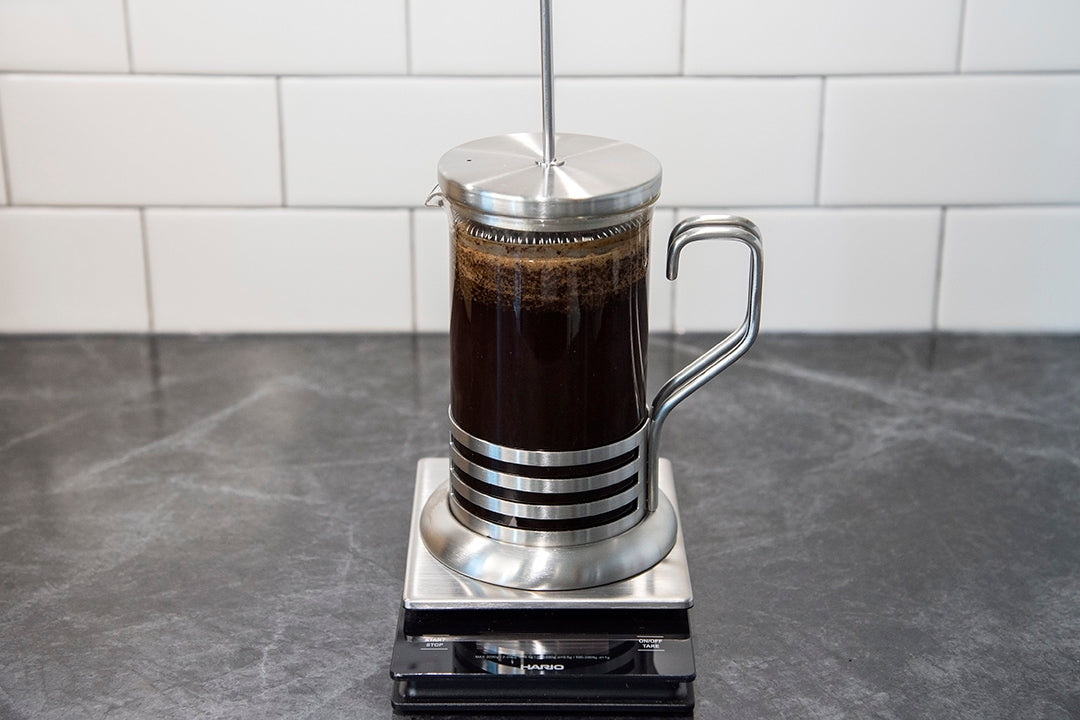 how to make the perfect french press coffee lid