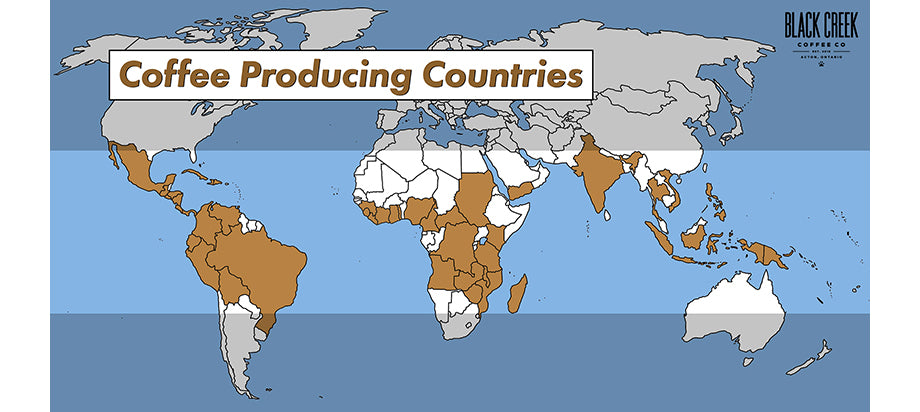 map of coffee producing countries coffee belt