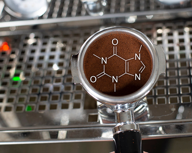 which coffee drink has the most caffeine molecule