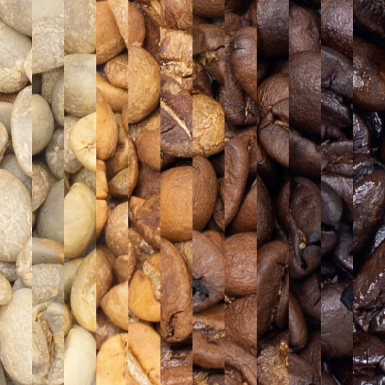 which coffee has more caffeine dark or light roast degrees