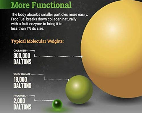 Frog Fuel collagen, typical collagen, and whey molecular weight comparison chart