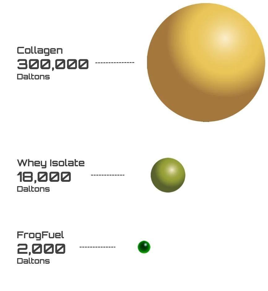 Frog Fuel's Nano Hydrolyzed Collagen vs Whey Isolate and other Collagen Products