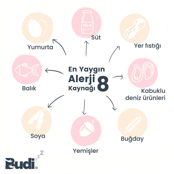 bebeklere alerji yapan besin