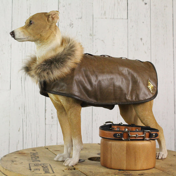 canadian dog coats