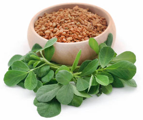 depositphotos_267025446-stock-photo-fenugreek-seeds-with-green-leaves__PID:28c388f9-a39b-4898-9bfc-4b95be970a54