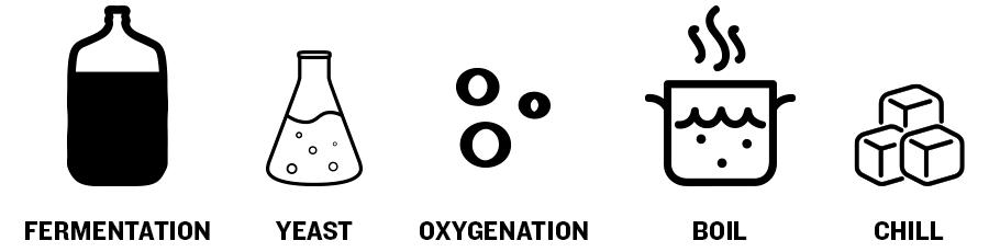 Fermentation, Yeast, Oxygenation, Boil, Chill