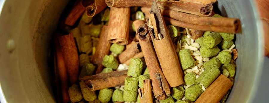 image of cinnamon sticks, ginger root, and Cascade hops