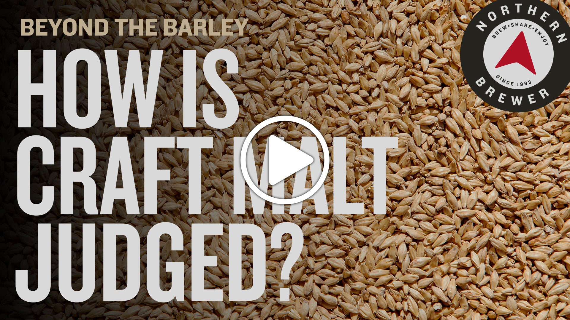 Thumbnail Image to Youtube Video, "How is Craft Malt Judged?"