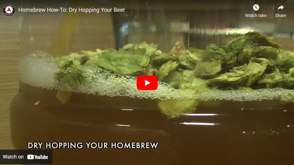 How To Dry Hop Beer