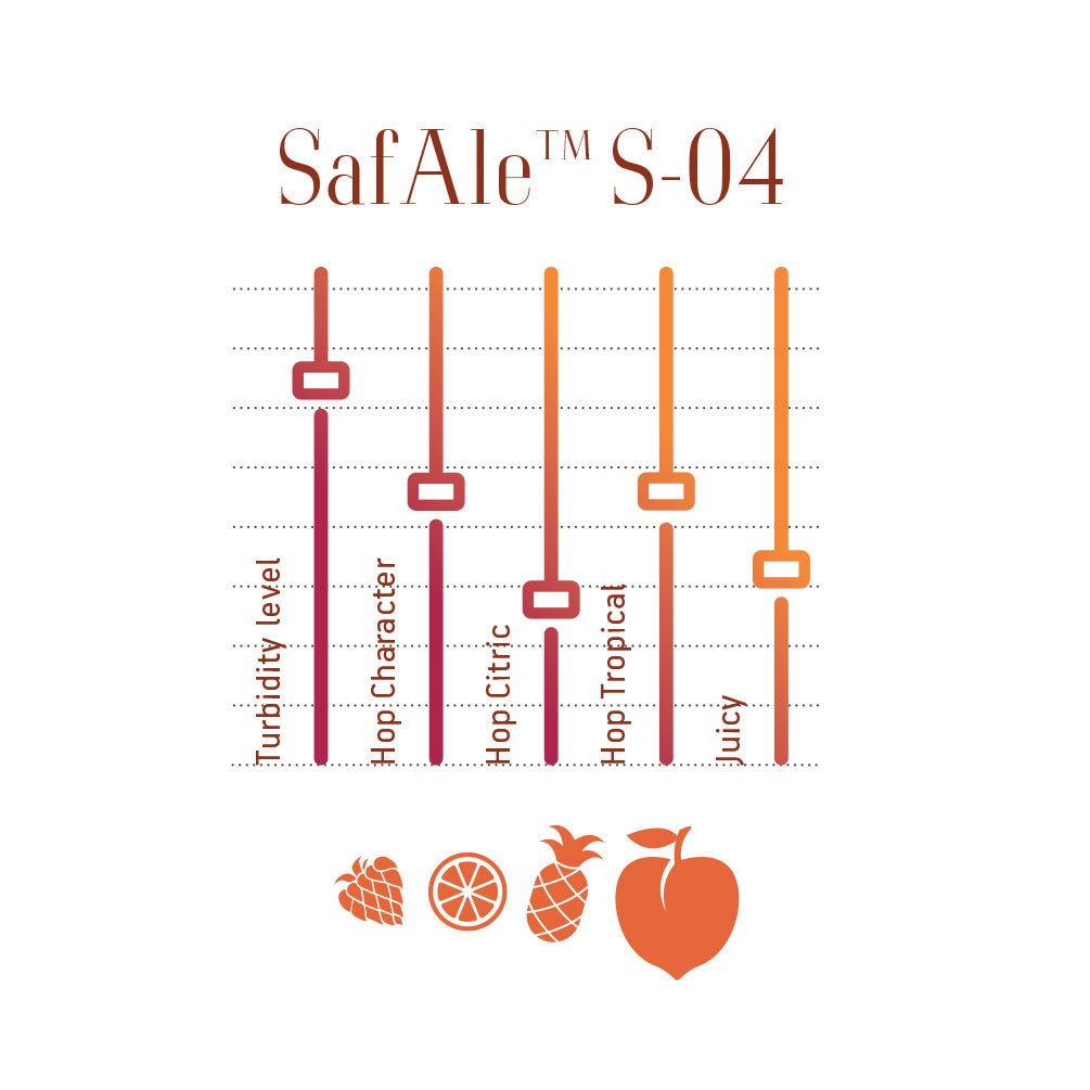 SafAle S-04 Yeast