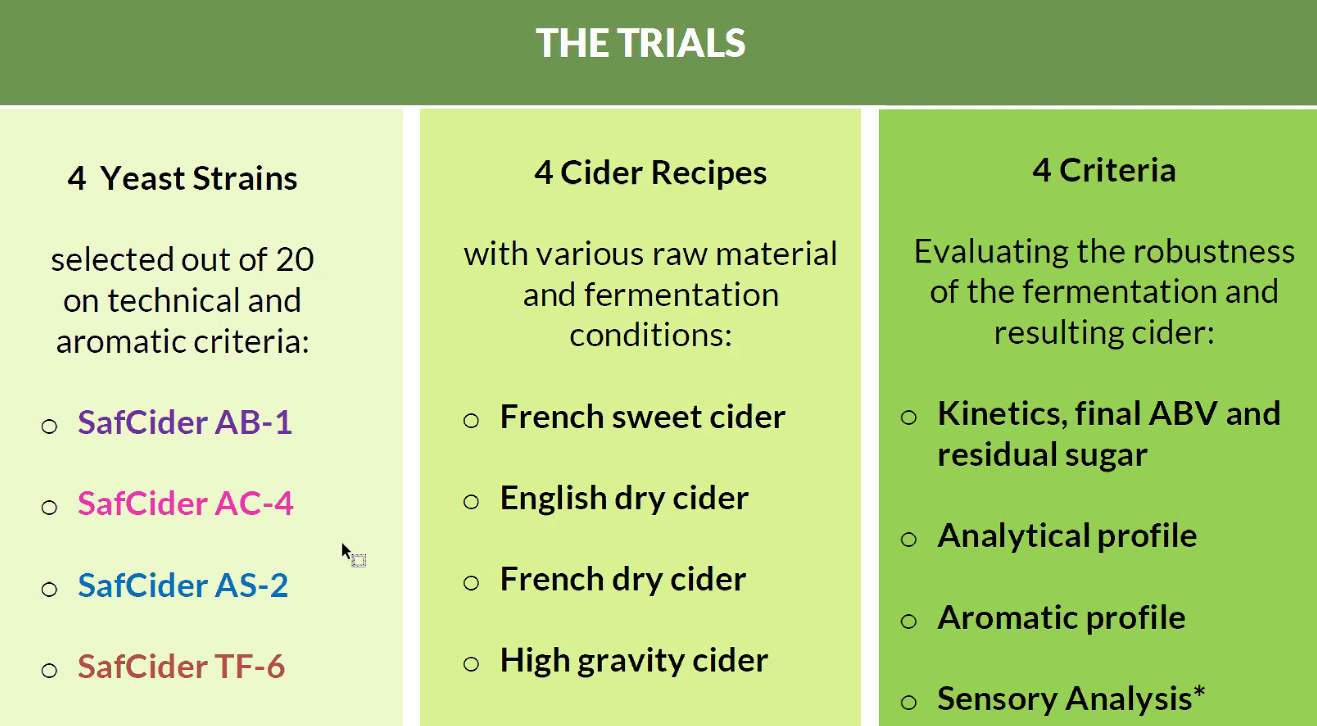 Fermentis Cider Yeast Trials