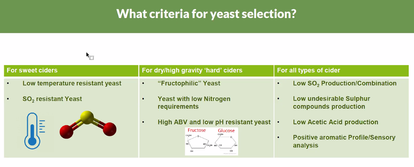 Criteria for Yeast Selection
