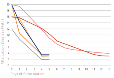 Safale BE-256 Graph