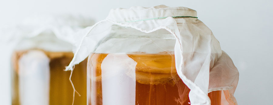 What is a Kombucha SCOBY