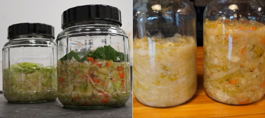 Before and After Sauerkraut Image