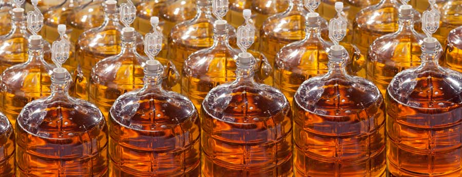 Image of carboys with amber liquid in them fermenting