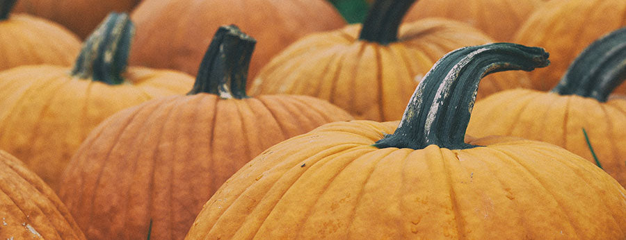 How to Make Smashing Pumpkin Ale with Real Pumpkin