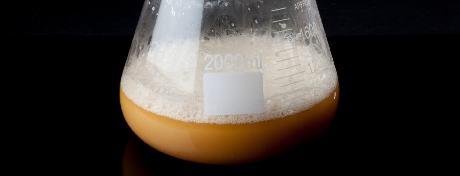 Image of a beaker of yeast on a black background