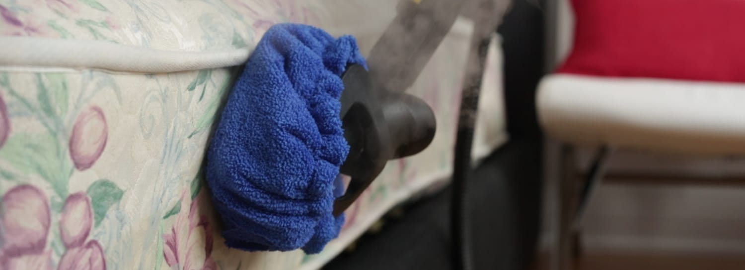 Peut-on utiliser un nettoyeur vapeur pour tuer les acariens ?