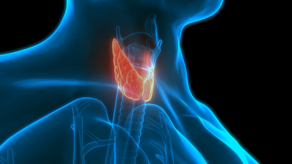 illustration of thyroid - thyroid panel - lab results