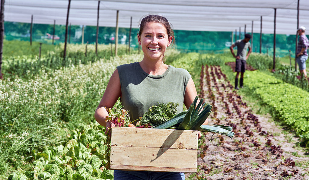 shopping organic farm - woman carrying box of vegetables - local farm