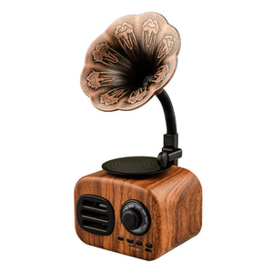 speaker gramophone