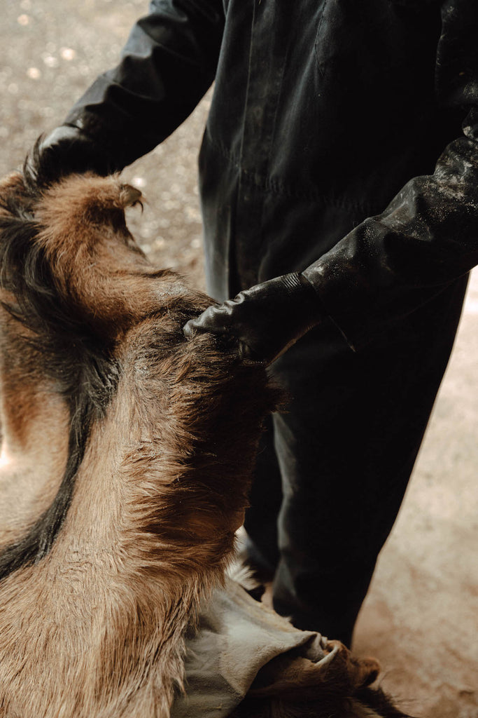 Billy Tannery Goatskins Saved From Waste