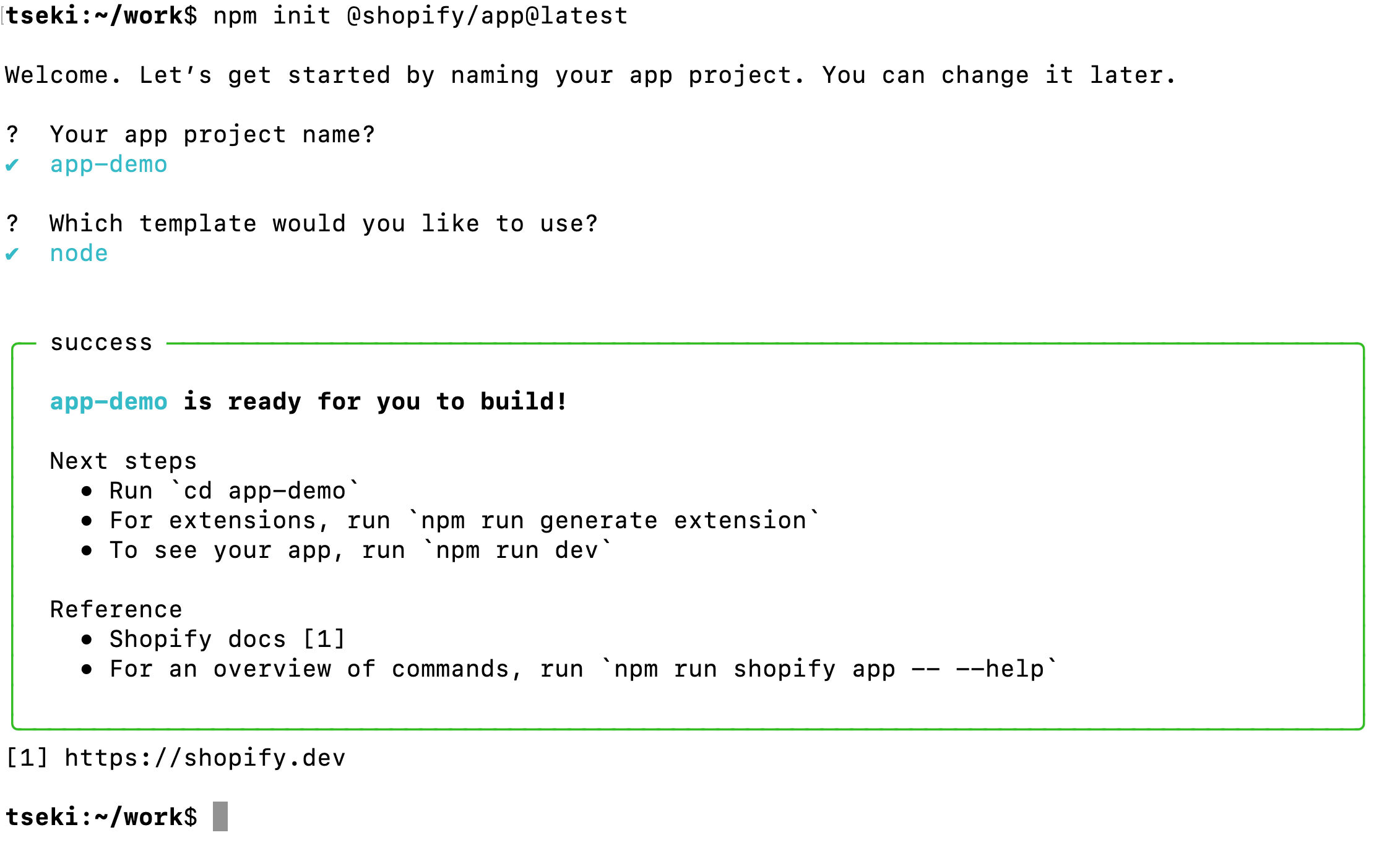 Execute the application installation command