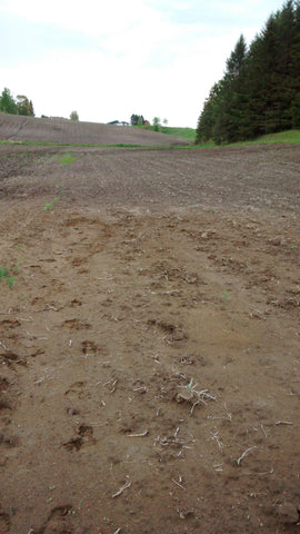 Tilled Field to be Planted