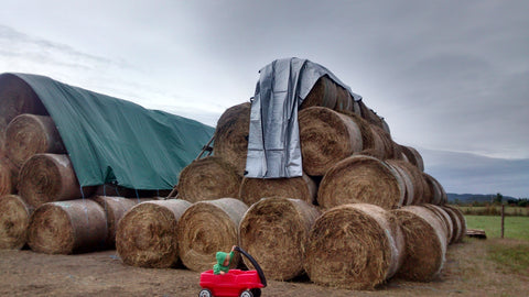 Almost tarped Hay Stack