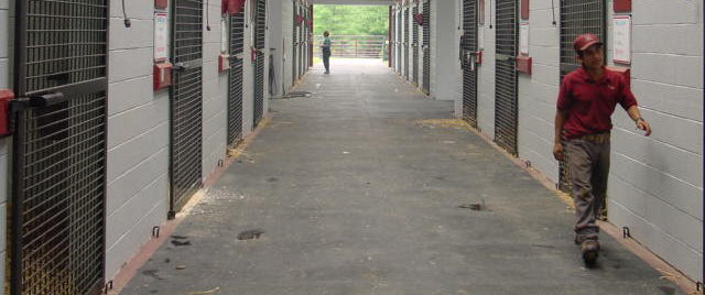 Humane Stall Mats for the barn