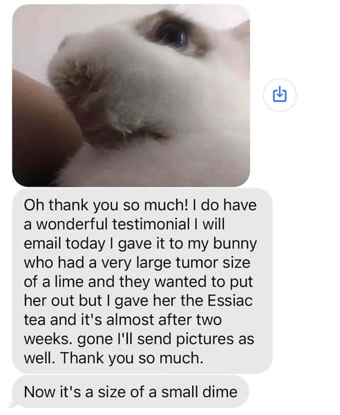 essiac bunny