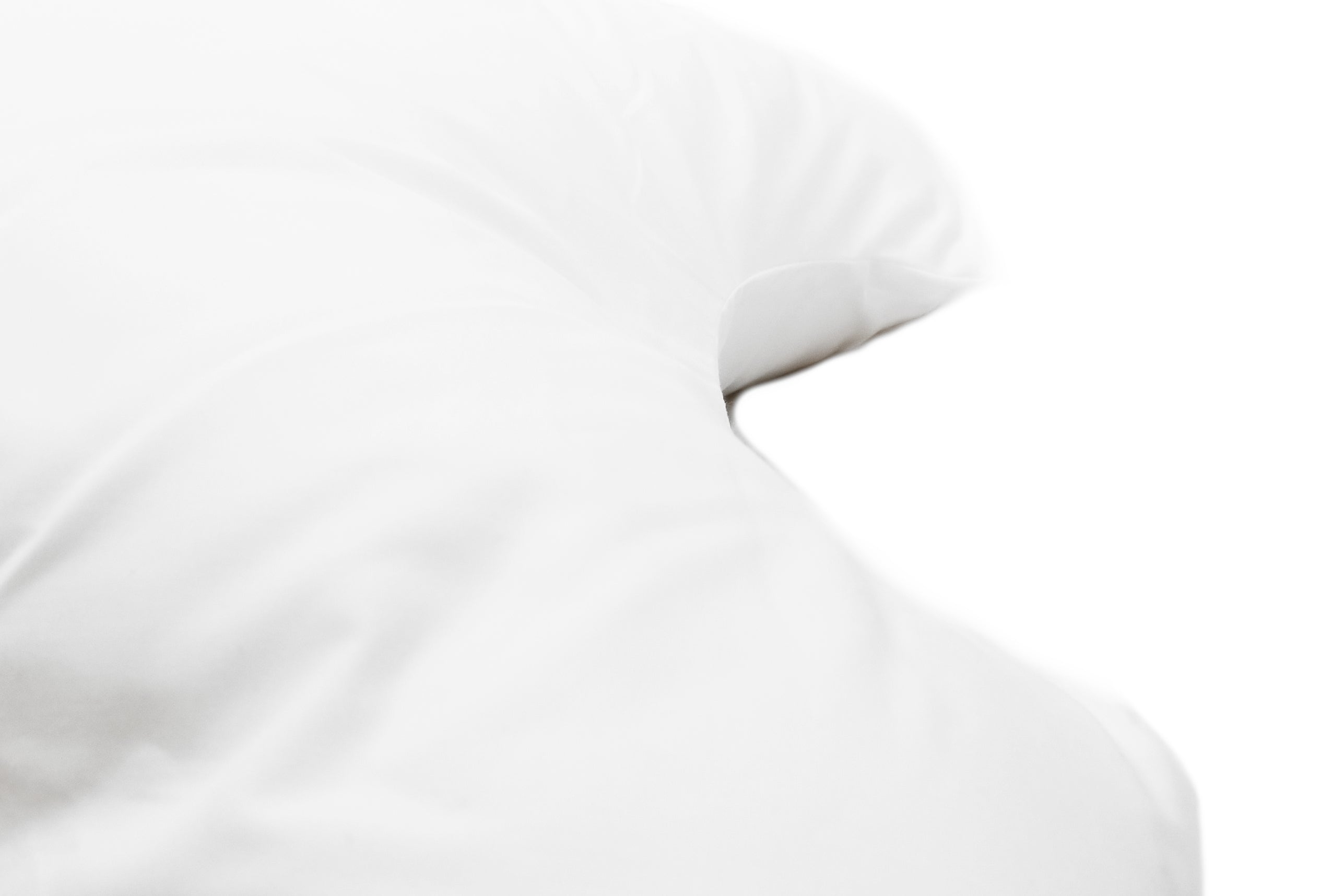 the good sleep expert butterfly pillow