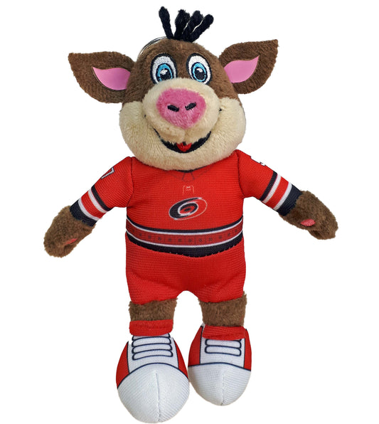 Carolina Hurricanes Stormy Mascot Costume