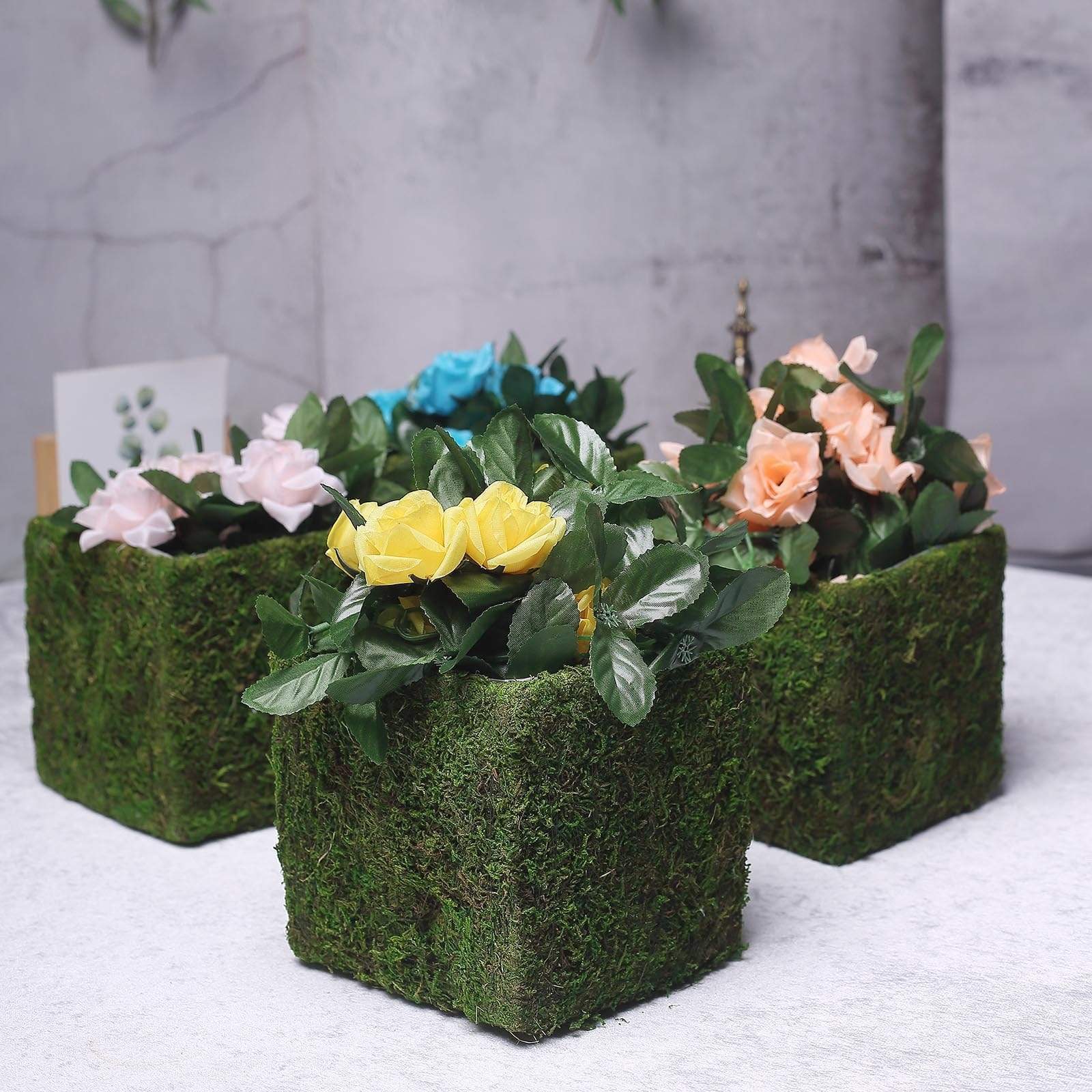 4 pcs 6"x6" Green Natural Moss Square Planter Boxes Wedding Party Decorations 4 pcs 6"x6" Green Natural Moss Square Planter Boxes Wedding Party Decorations