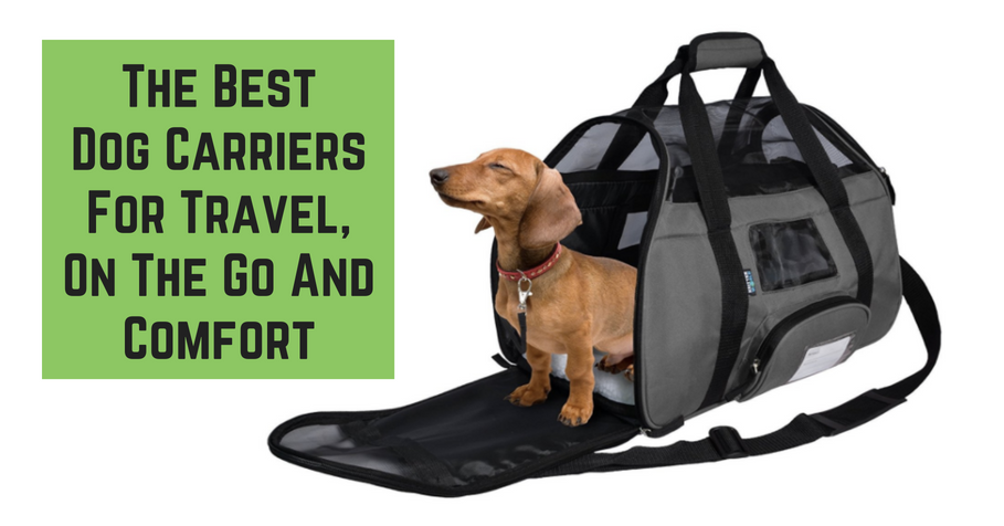 best small dog carrier