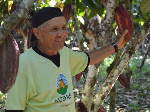 Bennetto Fairtrade Cocoa Producer, Peru