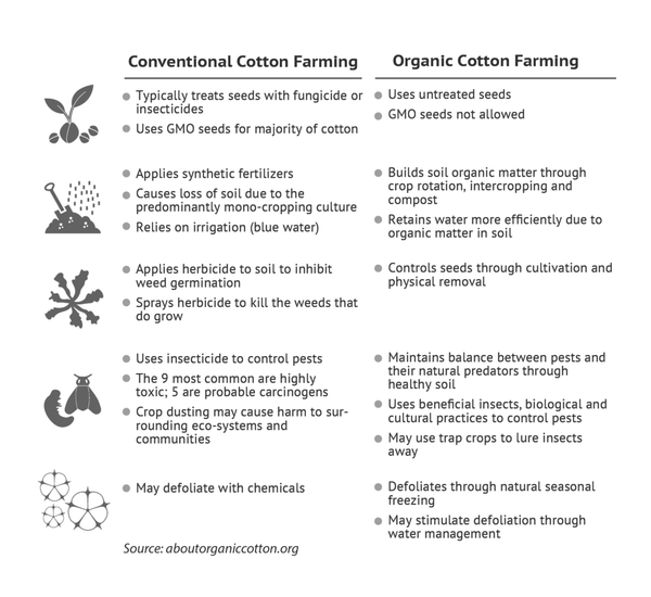 Organic Cotton vs Conventional Cotton – The Fair Trader