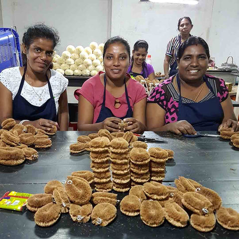 Import Ants ECOMAX artisans in Sri Lanka