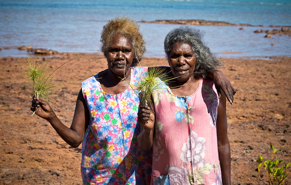 Bush Medijina - About the Makers