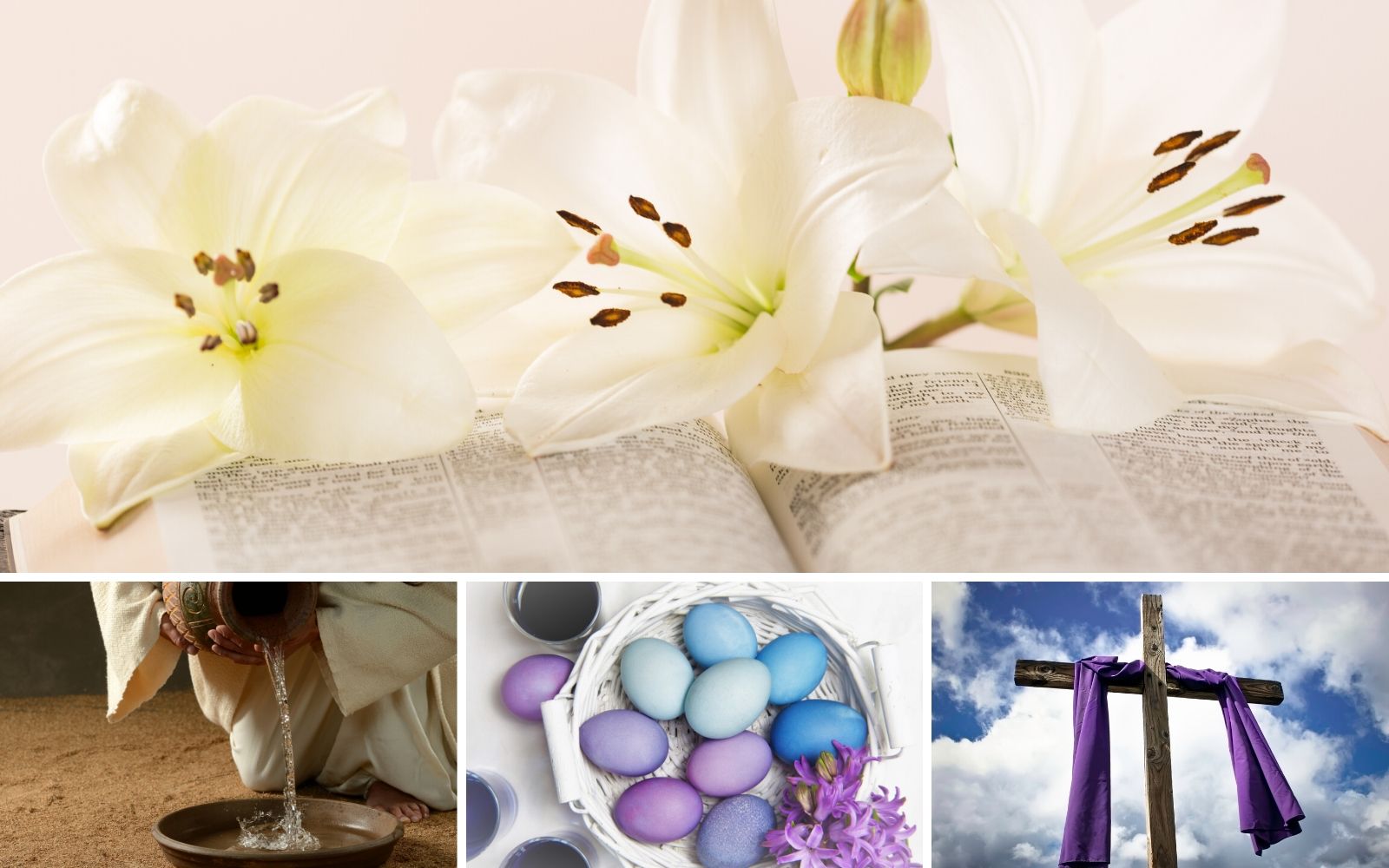 Easter Lily, Water, Eggs, Cloak