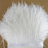 ostrich feather ribbon