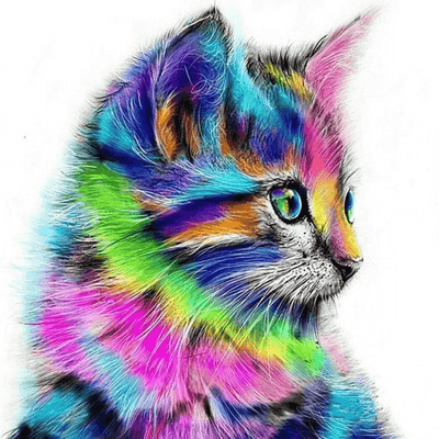 Colorful Abstract Cat