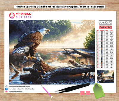 Bald Eagle - Diamond Art Kit