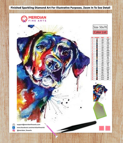 Black Labrador - Diamond Art Kit